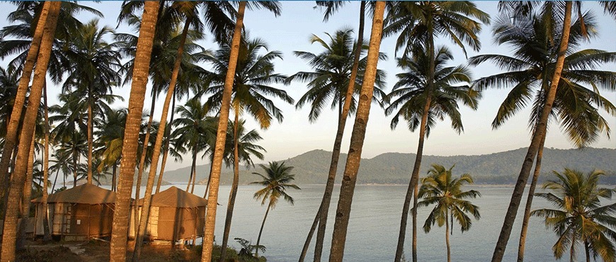 goa tour packages from trichy
